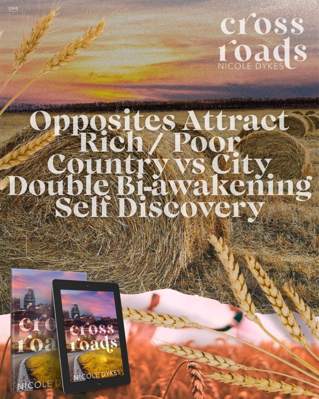 PROMO BLITZ – Crossroads by Nicole&nbsp;Dykes