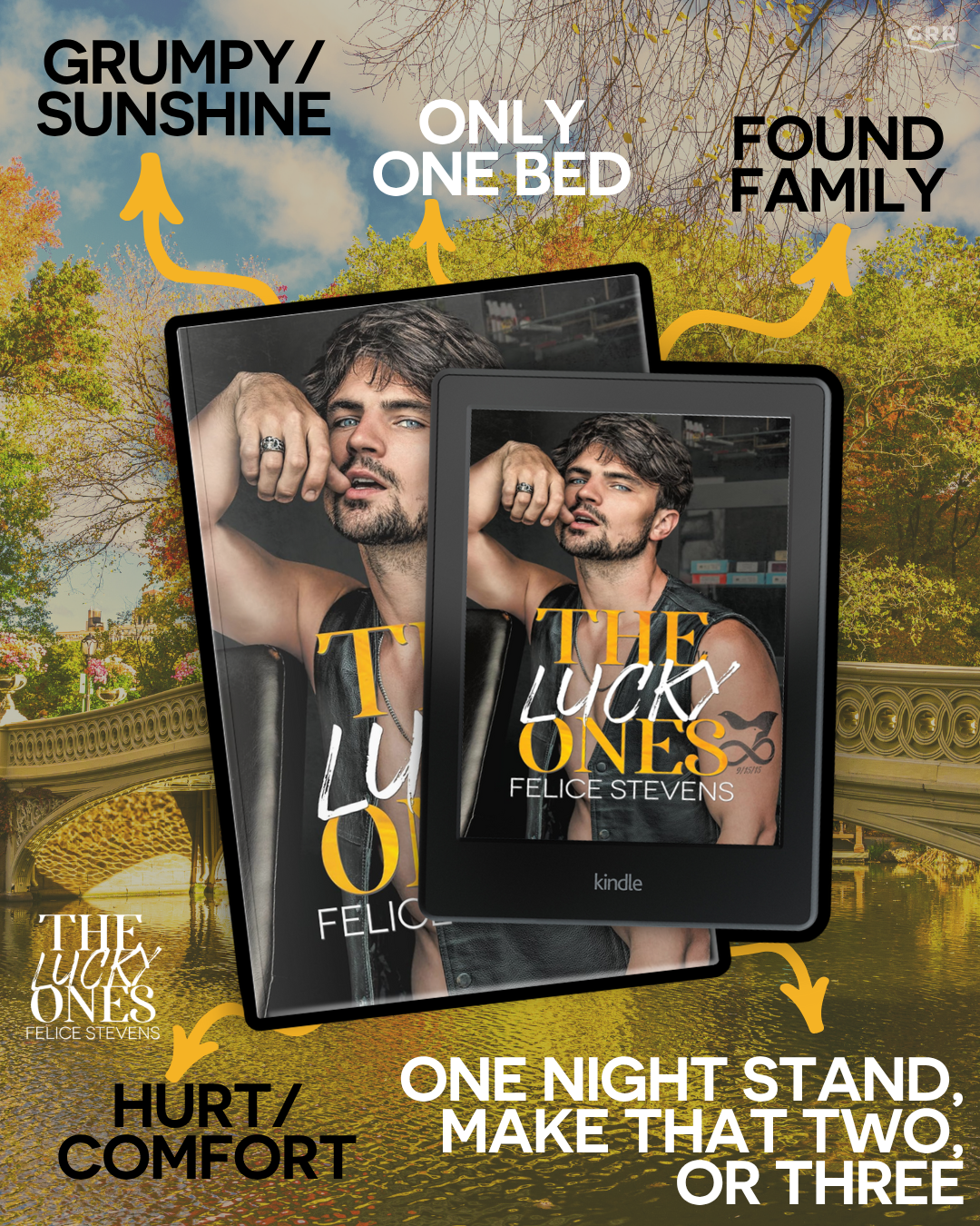 PROMO BLITZ – The Lucky Ones by Felice Stevens