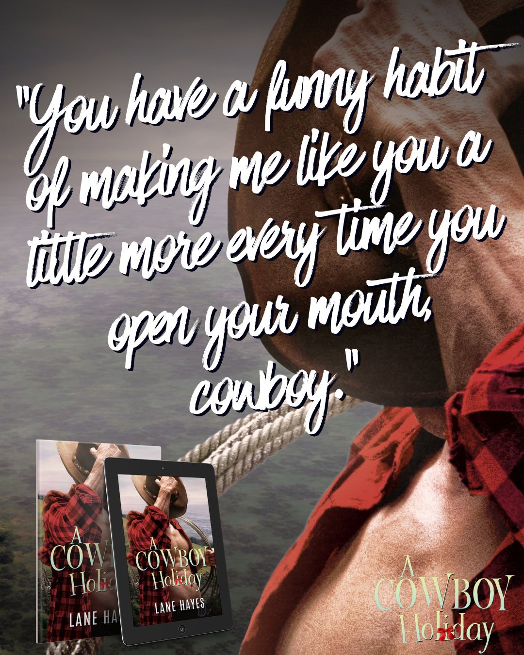 release tour – A Cowboy Holiday by Lane Hayes
