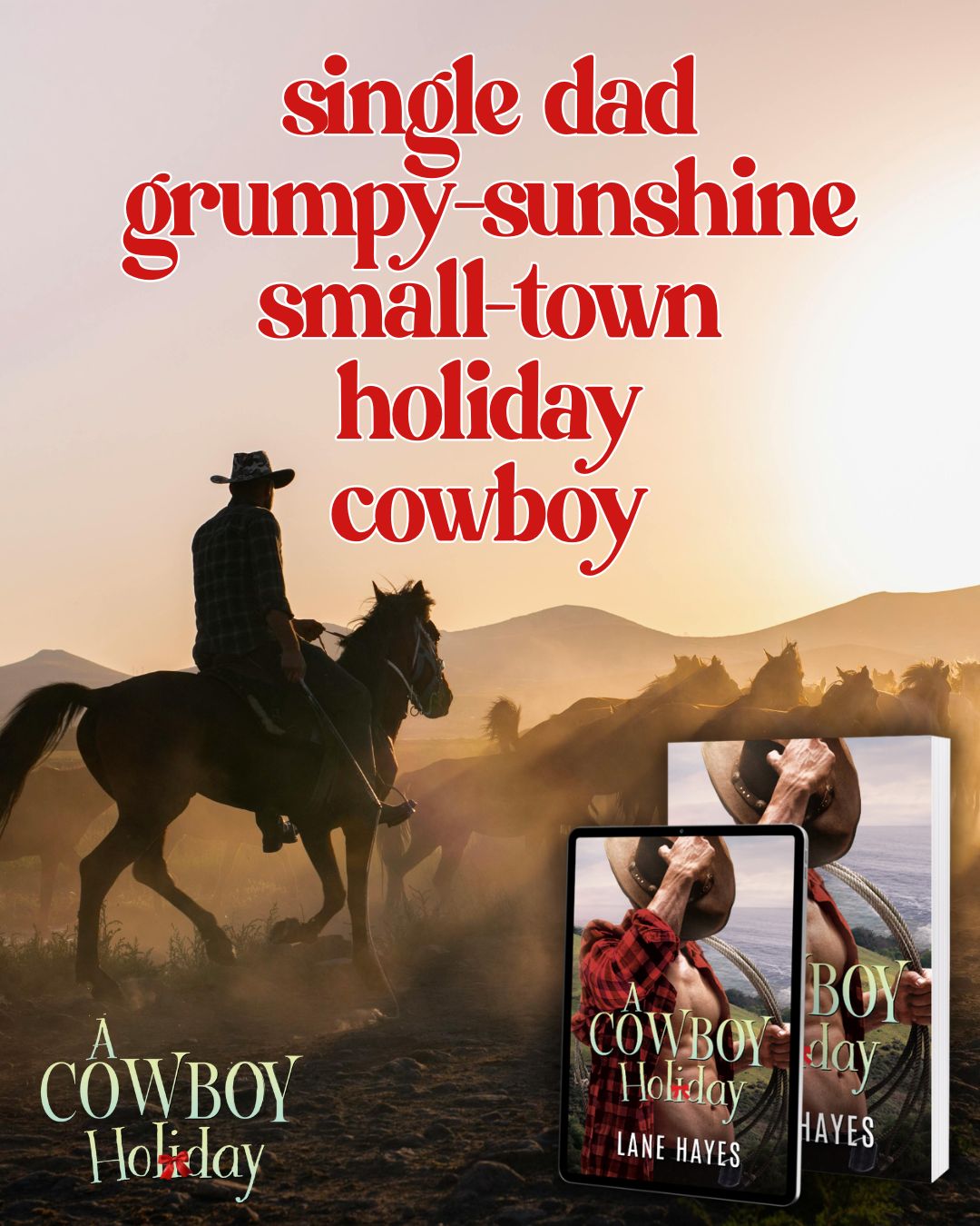 PROMO BLITZ – A Cowboy Holiday by Lane Hayes