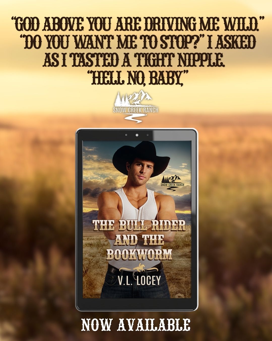 SNOW CREEK PROMO BLITZ: The Bull Rider And The Bookworm by V.L. Locey